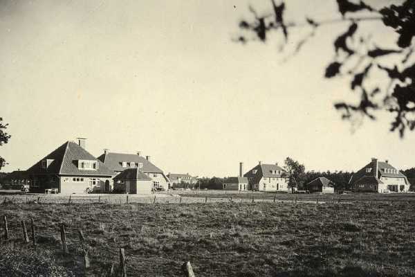 Apeldoornsche Bosch